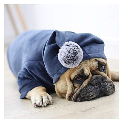 FGVHJOJXA Winter Haustier Hund Kleidung Pug French Bulldoggen Kleidung for Hunde Mantel Fat Hundejacke Welpen Haustier Kleidung for Hund Hoodie Ropa Perro York(Color:Blue,Size:Large) von FGVHJOJXA