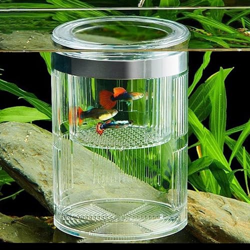 FGXY Zylindrisch Aufzuchtbecken Aquarium, Aquarium Zucht Isolation Box, Züchter Isolation Divider Brutkasten, Multifunktional, Für Guppy Garnelen Mollys, Aquarium Isolationskiste Jungfiisch von FGXY