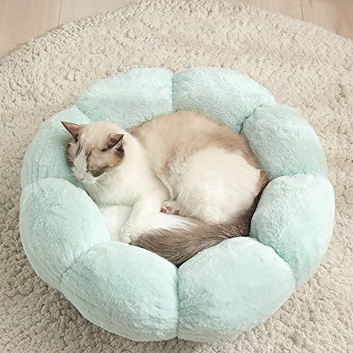 FGYZYP Katzenbett in Blumenform, Plüsch, 40,6 cm, für den Winter, weich, selbstwärmend, DonutKatzenbett mit rutschfester Unterseite, maschinenwaschbar für Schlaf, warme Katze, Kätzchen, Welpen und FGYZYP Katzenbett in Blumenform, Plüsch, 40,6 cm, für den Winter, weich, selbstwärmend, DonutKatzenbett mit rutschfester Unterseite, maschinenwaschbar für Schlaf, warme Katze, Kätzchen, Welpen und von FGYZYP