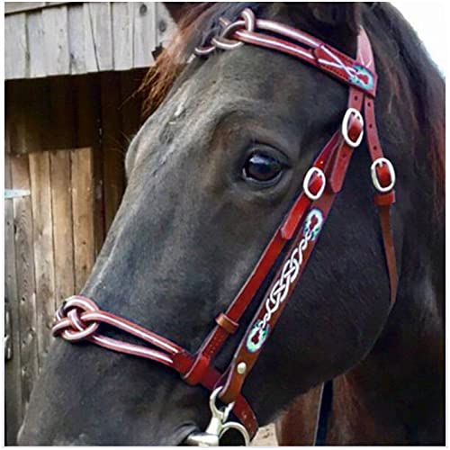 FHXYZ English Horse Trensenzaum - Verstellbare Reittrensen aus Leder - für Pferde, Pferdehalfter für Outdoor-Pferdezubehör und Pferderennausrüstung (Rot) von FHXYZ