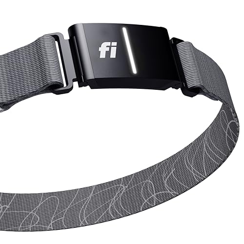 Fi Smartes Hundehalsband der Serie 3, GPS-Hunde-Tracker und Aktivitäts- und Fitness-Monitor, 1 Jahr Mitgliedschaft, Grau, Größe M von FI