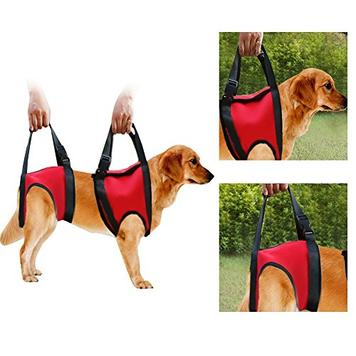 Hunde Tragehilfe vorne Hund Unterstützung Harness Pet Gehhilfe Heben Ziehen Weste Sling Unterstützung Rehabilitation für Alte & Verletzte Hunde (Hind Leg - S-Red) von FILFEEL