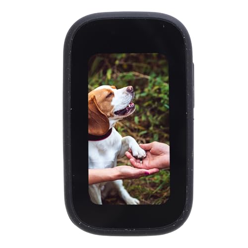 FILFEEL Am Körper Getragene Kamera für Haustiere, Wasserabweisende, Tragbare Körperkamera mit HD-Auflösung für Outdoor-Reisen mit Kompaktem Design für Katzen, Hunde Usw (Black) von FILFEEL