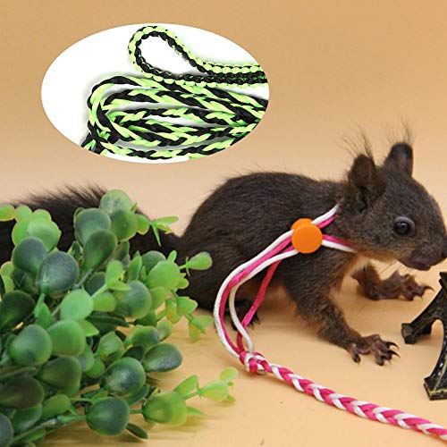 Nylon-Leinengeschirr für Kleine Haustiere, Eichhörnchen, Hamster, Meerschweinchen, für Outdoor-Gehtraining, Verstellbares Halsband für Lustige Aktivitäten, Geeignet für Kleine von FILFEEL