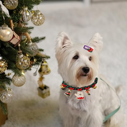 Weihnachten Hundehalsband,Verstellbares Weihnachtshalsband,Hundehalsbänder für Welpen mit Weihnachtsmuster Halsring,Nylonhalsband für Katze,Kleine,mittelgroße Große Hunde von FILOEEX