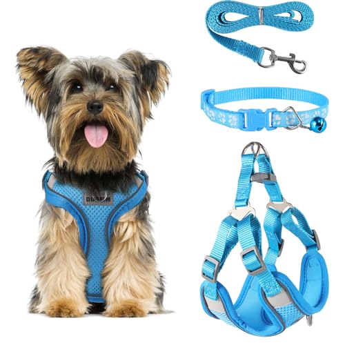 FINEASY Hundegeschirr mit Leine, Reflektierend, Hundegeschirr Kleine Hunde, Sicherheitsgeschirr Hund Ausbruchsicher, Brustgeschirr Hund, Geschirr für Haustiere, Katzen, Klein, Welpen, Blau (S) von FINEASY