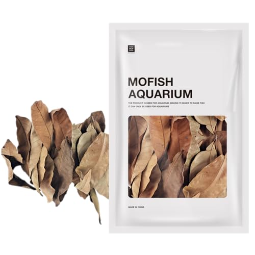 Laubstreu für Terrarium, Longan Fisch ruhen getrocknetes Blatt, schafft heimische Umgebung, Wasseraufbereiter Blätter, pH-Anpassung, Aquarium Laubstreu für Fische und Schildkröten (Gelb) von FINLALO