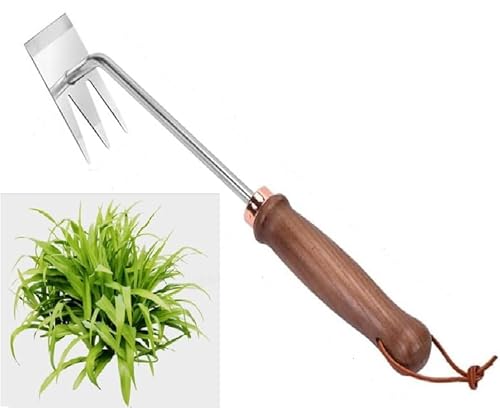 FINPAN 2in1 Fugenkratzer Unkraut, 31.5cm Unkrautstecher, LöWenzahnstecher, Gartengeräte, Profi Trimmer Unkraut für Garten Gras Graben, Umpflanzen, Jäten (Gartenarbeit Hand Unkrautstecher mit stiel) von FINPAN