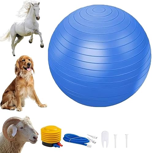 FIONEL 55,9 cm Herding Ball – Herding Pferdeball Spielzeug geeignet für mittelgroße Hunde, Mega Herding Hundebälle mit Handpumpe, Herding Ball Spielzeug für mittelgroße Hunde von FIONEL