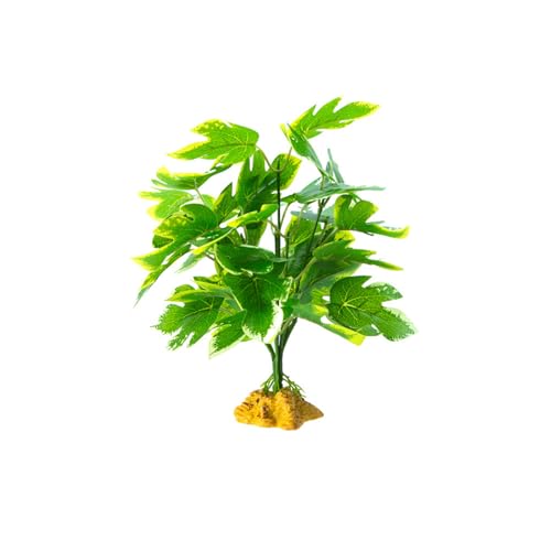 FIRSTXIU Reptilien Terrarien Pflanzen Reptilien Tanks Ornamente Besteigen Rastplantblätter Für Amphibien Eidechsen Und Schlangenbärtedrachendekorationen FIRSTXIU Reptilien Terrarien Pflanzen Reptilien Tanks Ornamente Besteigen Rastplantblätter Für Amphibien Eidechsen Und Schlangenbärtedrachendekorationen von FIRSTXIU