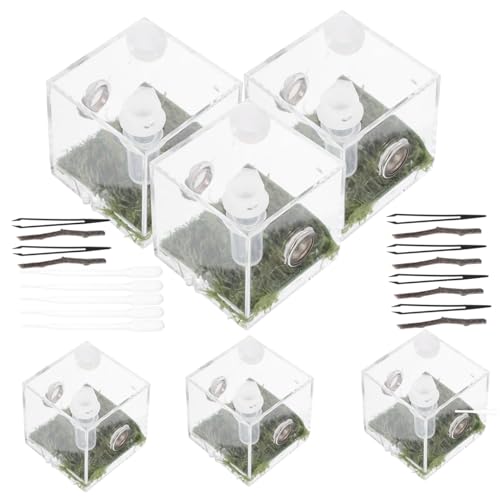 FIXOSHEE 4 Sätze Springspinnen-Zuchtbox Lebewesen Gecko Mikrohabitat-Terrariumgehege Spinnentier Ameisenterrarium Spinnen Box spinnenbox Futterkasten aus Acryl für Reptilien Gehäuse Tank von FIXOSHEE