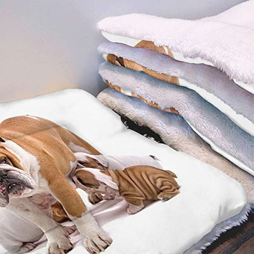 Braune cremefarbene Haustierdecke für kleine Katzen und Hunde, dicke Schlafmatte, englische Bulldogge, traurig, müde, selbstwärmendes Katzenbett, superweiches Hundebett, Kistenbett, Decke, Hundelieb von FJQWKLF