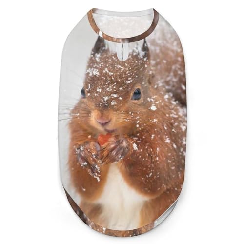 Britisches Rothörnchen 3D-Bedruckte Hundekleidung, stilvolle ärmellose Hundehemden, Weste, atmungsaktives Haustier-Tanktop, T-Shirt, Sweatshirt, Größe L von FJQWKLF