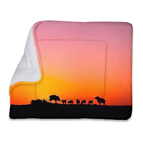 Gebranntes Orange und Schwarz, weicher, warmer Haustier-Fleece-Überwurf für kleine Hunde und Katzen, Panorama-Sonnenuntergangslandschaft, wiederverwendbare Haustierunterlagen, ideal für Hunde, Katze von FJQWKLF