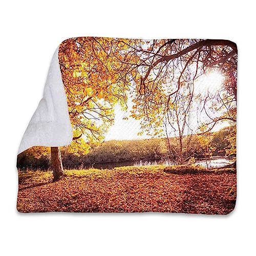 Orange-blaues, selbstwärmendes, umwandelbares Kuschelbett für Haustiere, Wald, Herbstlandschaft, Sonnenaufgang, selbstwärmende Käfigunterlage mit weichem Sherpa-Oberteil für Hunde, Katzen, Haustiere von FJQWKLF