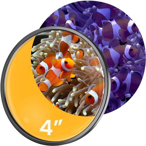 FL!PPER DeepSee Orangenfilter – Orangenfilterlinse für DeepSee magnetische Lupe – farbige Aquarium-Lupe für Korallenfotografie – Flipper Aquarium-Zubehör, 10,2 cm von FL!PPER
