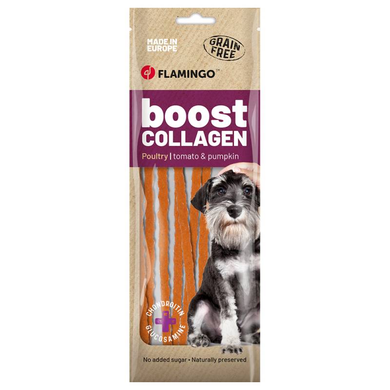 Flamingo Boost Collagen Spaghetti mit Huhn - 70 g von FLAMINGO