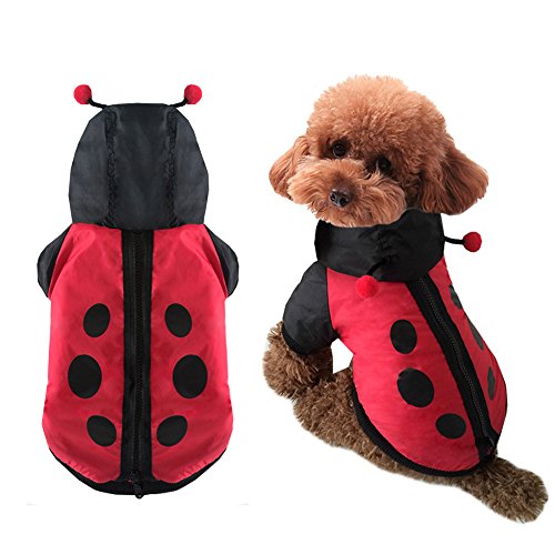 FLAdorepet Halloween-Kostüm für Hunde, Marienkäfer-Kostüm, warm, für den Winter, für kleine und mittelgroße Hunde (Größe L (3,6–5 kg), Rot von FLAdorepet