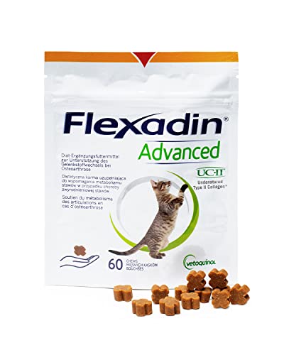 FLEXADIN ADVANCED® Katze |Innovativer Ansatz für die Gelenkgesundheit | Nicht denaturiertes Kollagen Typ II (UC-II ®) – 60 Gelenkleckerli von FLEXADIN ADVANCED