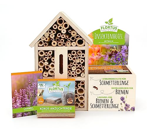 FLORTUS Insektenhotel Lavendel für Bienen & Schmetterlinge | Naturbelasses Insektenhotel groß für Garten & Balkon | Schmetterlingshaus mit Lavendel Pflanze von FLORTUS Freude an Vielfalt