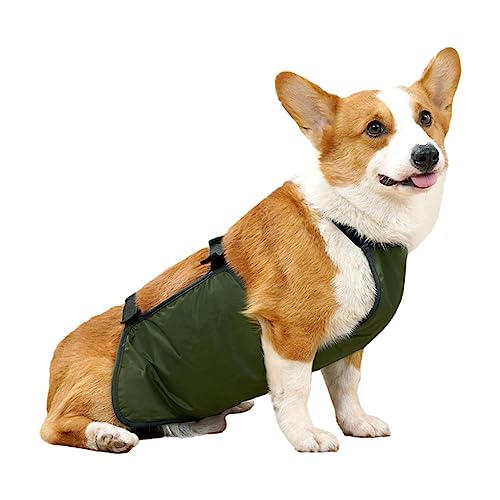 Hunde-Bauchband – atmungsaktive Hundewindel, verstellbar, auslaufsicher, für drinnen und draußen, große Hunde Foccar von FOCCAR