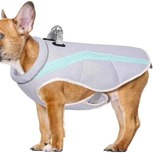 Kühlende Hundeweste, Sommer Kühljacke für Hunde, Sonnenschutz Ärmellose Hundemantel Weste für Kleine Mittlere Hunde, Wandern, Training, Outdoor, Hundeliebhaber Foccar von FOCCAR