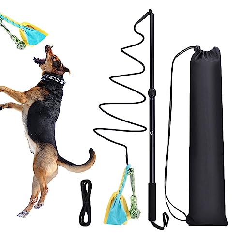 Pet Flirt Stick | Teleskop Kätzchen Teasing Wand Spielzeug | Tragbares Teleskop Welpen Jagd Schwanz Interaktives Hund Outdoor Spielzeug für Haustier Welpen Katze Indoor Outdoor Spaß Foccar von FOCCAR