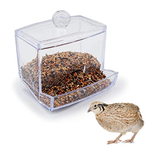 Button Quail Transparent Automatische Futterbox Samen Lebensmittelbehälter von FOIBURELY