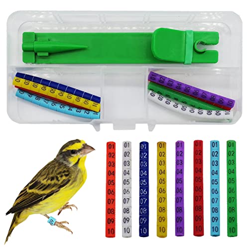 FOIBURELY 80 Stück nummerierte Vogelring-Beinbänder für Gouldian, Zebrafinken, Kanarienvögel, Fußring mit 1 Installateur (Durchmesser 3 mm) von FOIBURELY