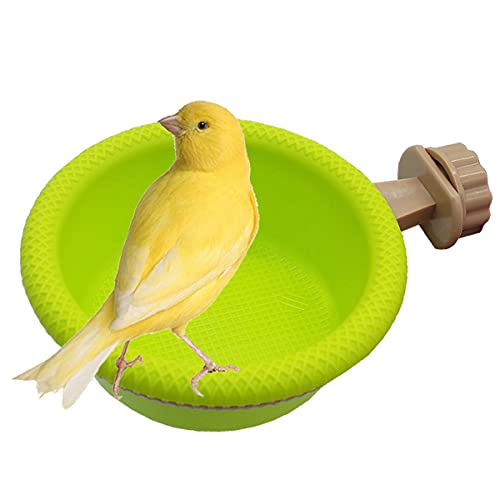 FOIBURELY Multifunktions-Vogeltränke für Kanarienvögel, Finken, Wellensittich, Sitzstange (11,4 cm) von FOIBURELY