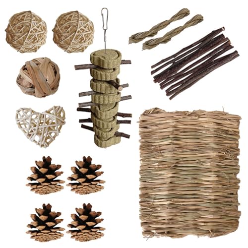 FOLODA Naturholz Molar Stabanzug Holz Kaut Kautierkautier Spielen Spielzeug Für Chinchillas Vögel Sichere Nagetiere Kautableer FOLODA Naturholz Molar Stabanzug Holz Kaut Kautierkautier Spielen Spielzeug Für Chinchillas Vögel Sichere Nagetiere Kautableer von FOLODA