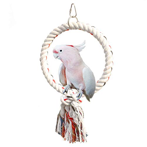 FOLODA Haustier Papagei Vögel Käfig Spielzeug Wattestäte Seil Kreis Ringständer Kautbiss Hanging Swing Cockatiel para Klettern Für Spielspielzeug Vogelspielzeug Für Kinder FOLODA Haustier Papagei Vögel Käfig Spielzeug Wattestäte Seil Kreis Ringständer Kautbiss Hanging Swing Cockatiel para Klettern Für Spielspielzeug Vogelspielzeug Für Kinder von FOLODA