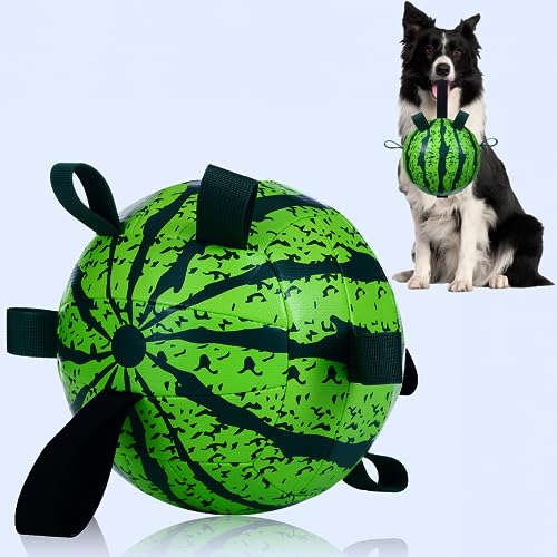 FOMAOGO Dog Soccers Ball for Small Medium Dogs Breeds Herding Ball Interactive Outdoor Dog Toys Gifts von FOMAOGO