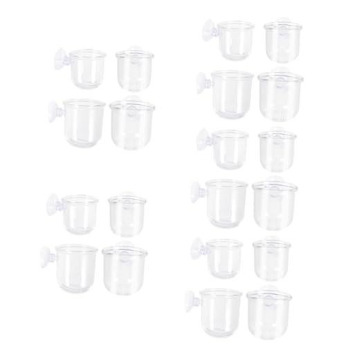 FOMIYES 20 STK Zubringer Acryl-Aquarium Futterspender Aus Transparentem Acryl Futternapf Für Aquarien Wasserpflanzenbecher Behälter Für Lebensmittel Klarer Behälter Glas Panzer Tasse von FOMIYES