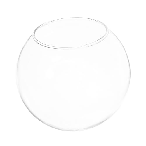 FOMIYES 5St Hamster Nest aus Glas Hamsternest aus Glas Kühlraum Critter Sandbadgläser Mini-Hüttenkäfige Haustier Hamsterhaus Igelnest 10cm Container Sommerunterkunft Chinchilla Glasfossa von FOMIYES