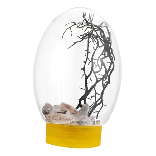 FOMIYES Desktop-Aquarium Tischterrarium Fischschalen Aus Kunststoff Led-Basis Glasbehälter Für Terrarien Mini-Terrarium Tischschale Rund Aquarium-kit Betta Fisch Die Faulen Plastik Klein von FOMIYES