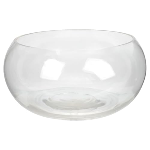 FOMIYES Fischbecken Aus Glas Kleines Fischbecken Desktop-Aquarium Fishbowl-vasen Blasenvase Blasenschale Glas Fischbecken Glas Vase Glas Goldfischglas Gewöhnliches Glas Büro Dekorationen von FOMIYES