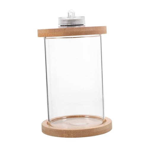 FOMIYES Glaseimer Aquarium Betta-Aquarium Kleines Terrarium Schüssel Aquarien Behälter Terrarien Aquarium Mit Licht Led-Dioden Led-Aquarium-Set Kleines Aquarium Mini-Holz von FOMIYES