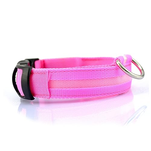 FOMIYES Haustierhalsband 2 5 cm Kreisförmige -leuchten Nachtsicht Hundehalsband Blinkendes Sicherheitshalsband mit Beleuchtung von FOMIYES