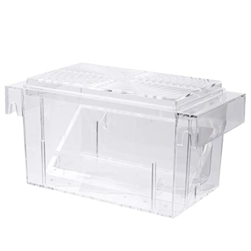 FOMIYES Kasten Tumbler inkubator Aquarium Brüterei Brutstätte für Artemia Betta-Aquarium isoliertes Aufzuchtbecken Zuchtbecken für Aquarien Zuchtteich Inkubationsbox Terrarium von FOMIYES