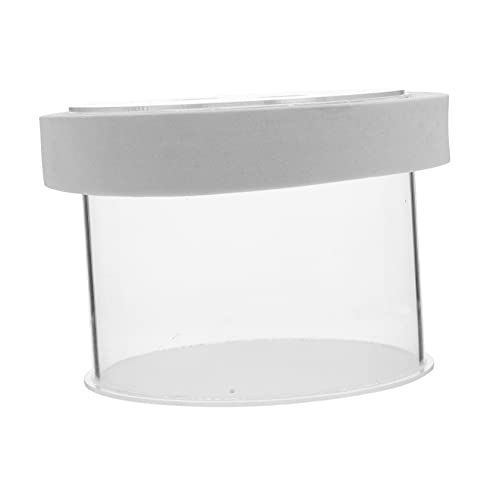 FOMIYES Kasten Isolationsbox Für Aquarien Zuchtbecken Für Aquarien Aquarien-inkubator Probenbehälter Für Aquarien Inkubator Zum Laichen Von Fischen Baby Weiß Aquarium Suspendiert Acryl von FOMIYES