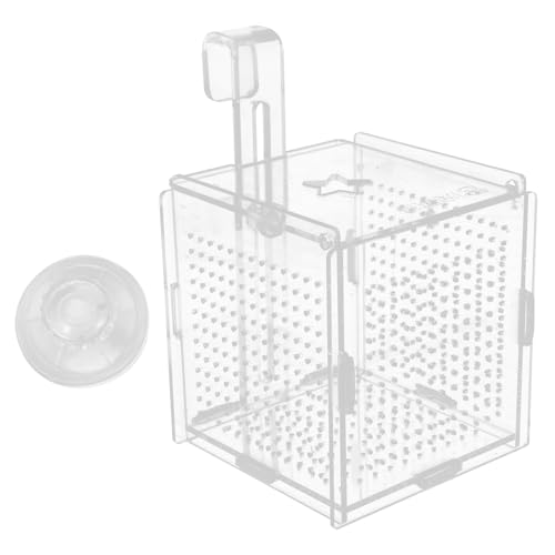 FONDOTIN 1 Satz Betta-Box Aquarium Netz für Fischkäfige Panzer Kühler Tank Easy putz aquaristik zubehör Isolationsbox für Fische Zuchtbehälter Brutinkubator für Aquarien Acryl Transparent von FONDOTIN