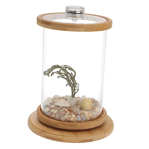 FONDOTIN 1 Satz Desktop Micro View Aquarium Bürozubehör Mini-Aquarium Anfänger-Aquarium Durchsichtiger Fisch Desktop-Dekoration Hydroponisches Pflanzenterrarium Goldfischglas Green von FONDOTIN