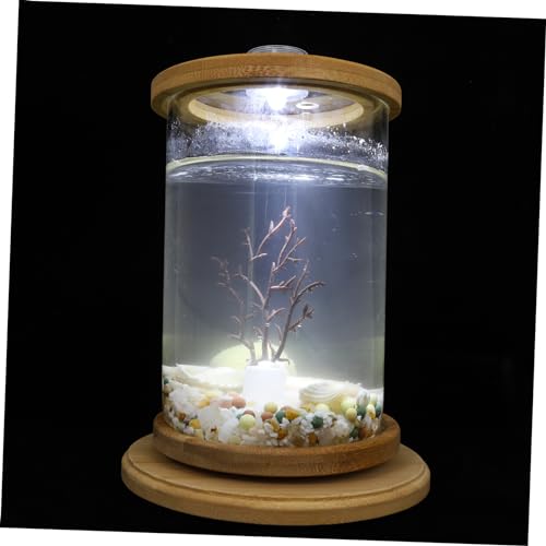 FONDOTIN 1 Satz Desktop Micro View Aquarium bürodekorationen Dekoration Schlafzimmer kunstpflanze transparente Fischschale Aquarienbecken für den Haushalt Glas Brown von FONDOTIN