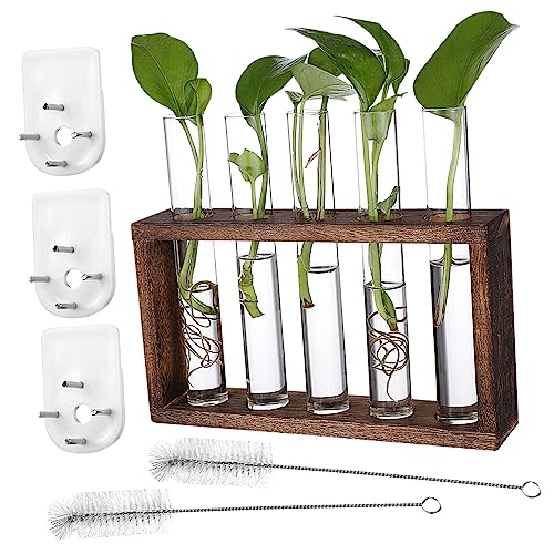 FONDOTIN 1 Set Wandhängende Pflanzer Mit 5 Röhren Und Holzständer Propagationsstation Für Pflanzen Inklusive Reinigungsbürsten Und Installationsnägel Tisch Terrarium Zubehör von FONDOTIN