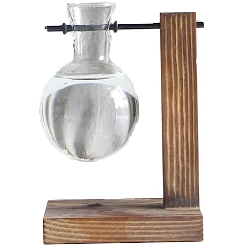 FONDOTIN 1 Stück Pflanzenterrarium mit Holzständer bürodeko büro Dekoration Desk Decoration hydroponische vase Desktop-Dekoration Zwiebelvase dekorative Glasvase Wasserpflanzer hölzern von FONDOTIN