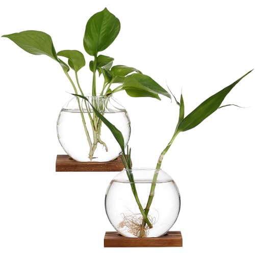 FONDOTIN 2 STK Kreative Vase Pflanzenterrarium Mehrere Vermehrungsgefäße Goldener Behälter Vermehrungsvasen Für Pflanzen Pflanzterrarien Tischvase Klare Vase Vasen Klar Glas Transparent von FONDOTIN