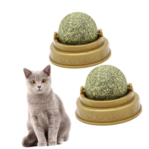 FONDOTIN 2 Stücke Katze Beißball Katze Energie Ball Lutscher Katze Feste Ernährung Katze Leckereien Candy Ball Katze Ball Katze Verdauung Förderer von FONDOTIN