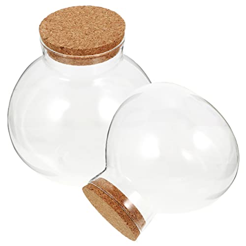 FONDOTIN 2stücke Sphärische Terrarium Flasche Ökologisches Glasgefäß Für Mikrolandschaften Für Pflanzen Und Dekoration Mit Korkdeckel Ohne Licht FONDOTIN 2stücke Sphärische Terrarium Flasche Ökologisches Glasgefäß Für Mikrolandschaften Für Pflanzen Und Dekoration Mit Korkdeckel Ohne Licht von FONDOTIN
