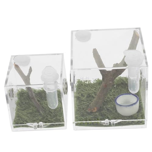 FONDOTIN 2Stücke Transparente Spinnen Zuchtbox Kleine Futterbox für Insekten Habitat für Springspinnen mit Futteröffnung und Sicherem Deckel die Aufzucht und Pflege FONDOTIN 2Stücke Transparente Spinnen Zuchtbox Kleine Futterbox für Insekten Habitat für Springspinnen mit Futteröffnung und Sicherem Deckel die Aufzucht und Pflege von FONDOTIN